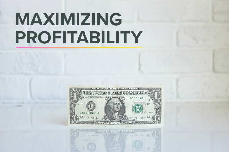 HOW TO MAXIMIZE PROFITABILITY FOR DIGITAL ADVERTISING: PREPARING FOR THE FUTURE OF MARKETING